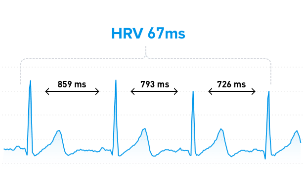 Recupero Migliore, Performance Migliore: come usare la HRV per guidare l'allenamento